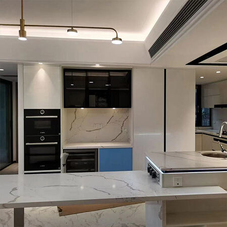 British Home Project Case