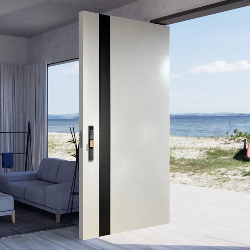 Contemporary Hot Sales Exterior Door for Decorative Plywood Cheap Exterior Room Doors