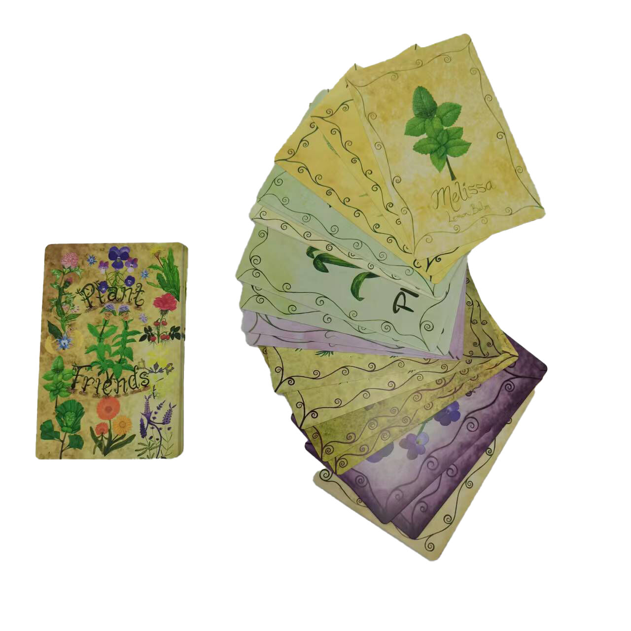 OEM Custom Plant Friends Memory Card Game Manufacturer Wholesale Educational Nature Themed Game Cards Supplier Chensheng Printing