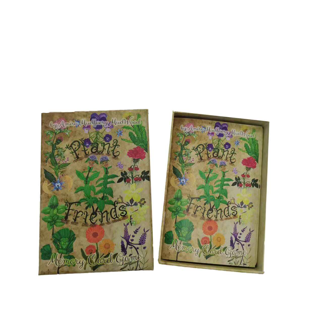 OEM Custom Plant Friends Memory Card Game Manufacturer Wholesale Educational Nature Themed Game Cards Supplier Chensheng Printing