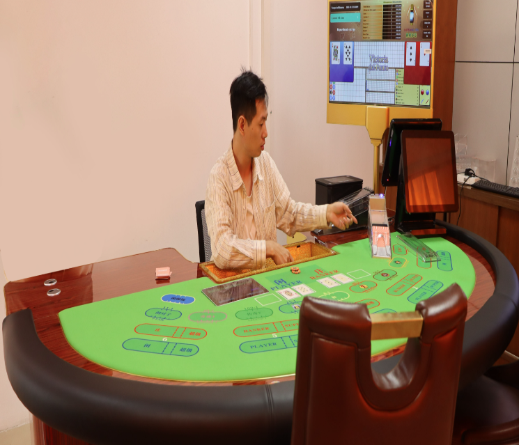 Why Choose Metallic Gold Cards from Chensheng EVV Series?