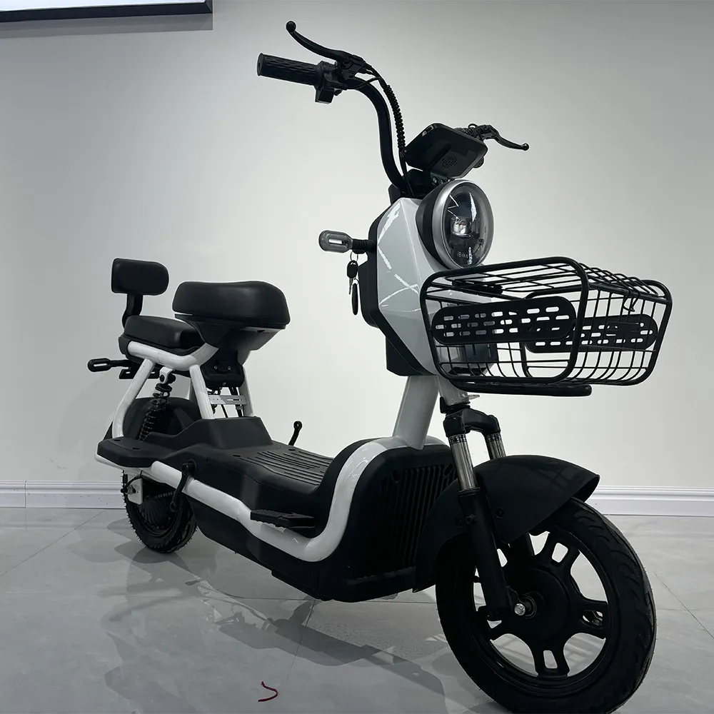 What key features should you look for when sourcing wholesale electric bikes?
