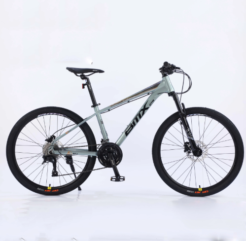 Designing Comfort: Key Factors in Adult Bicycles for Long-Distance Riding