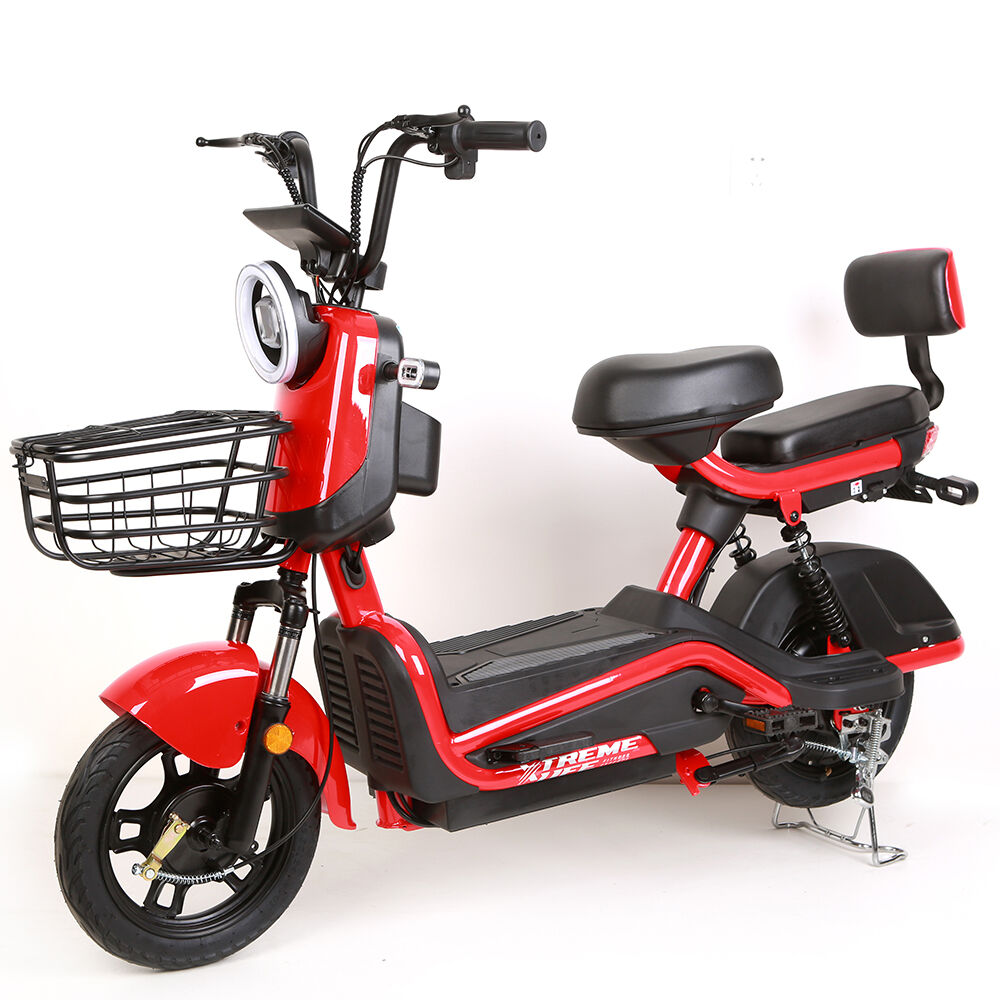 electric bike battery