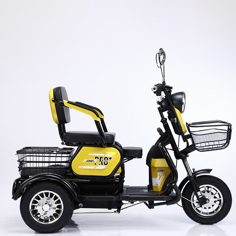 electric tricycle battery