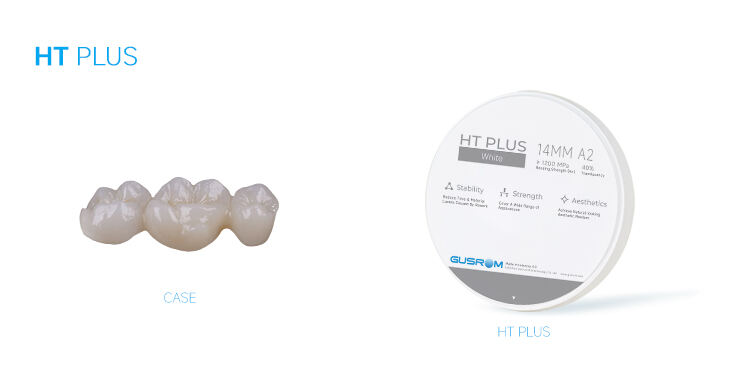 3-Gusrom HT Plus Case.jpg