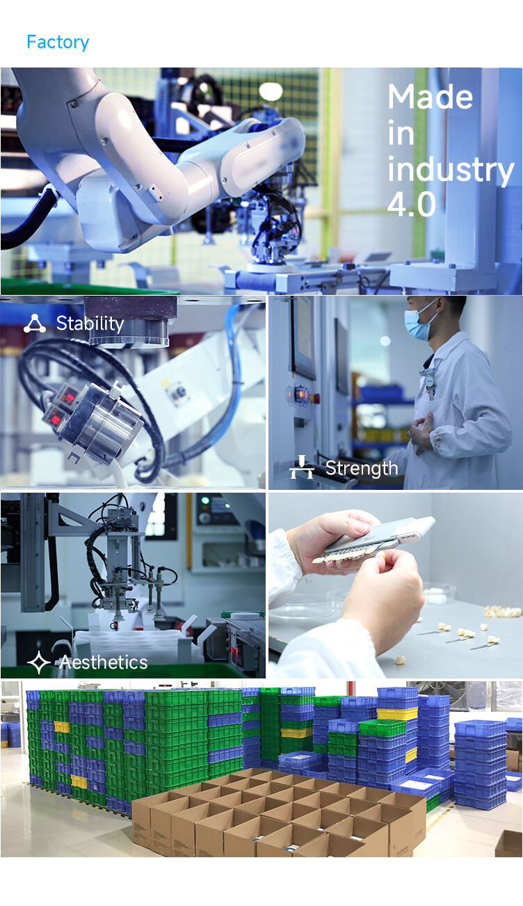 详情-3D-PRO-ML-AESTHETIC_04.jpg
