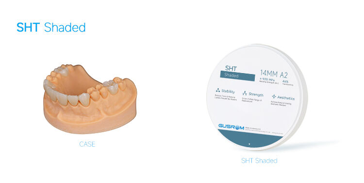 03-High Translucency Zirconia Case.jpg