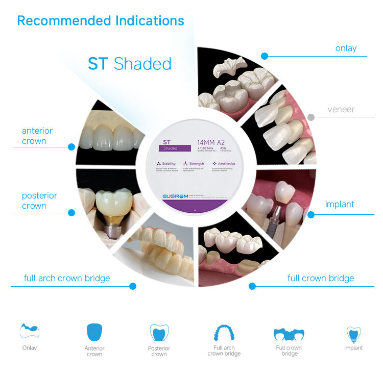 4-Gusrom ST Shaded Indications.jpg