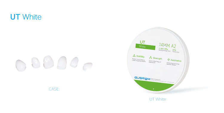 3-Gusrom UT White Case.jpg