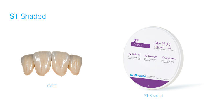 3-ST Shaded Zirconia Ceramic Dental.jpg