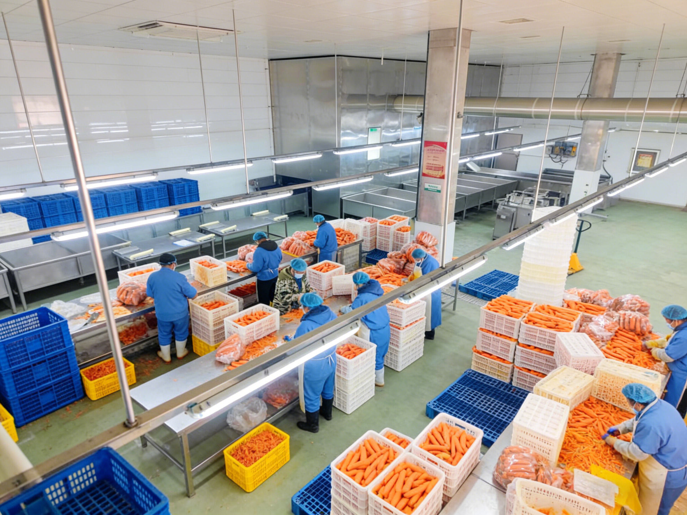 What are the main uses of Sodium Tripolyphosphate STPP?