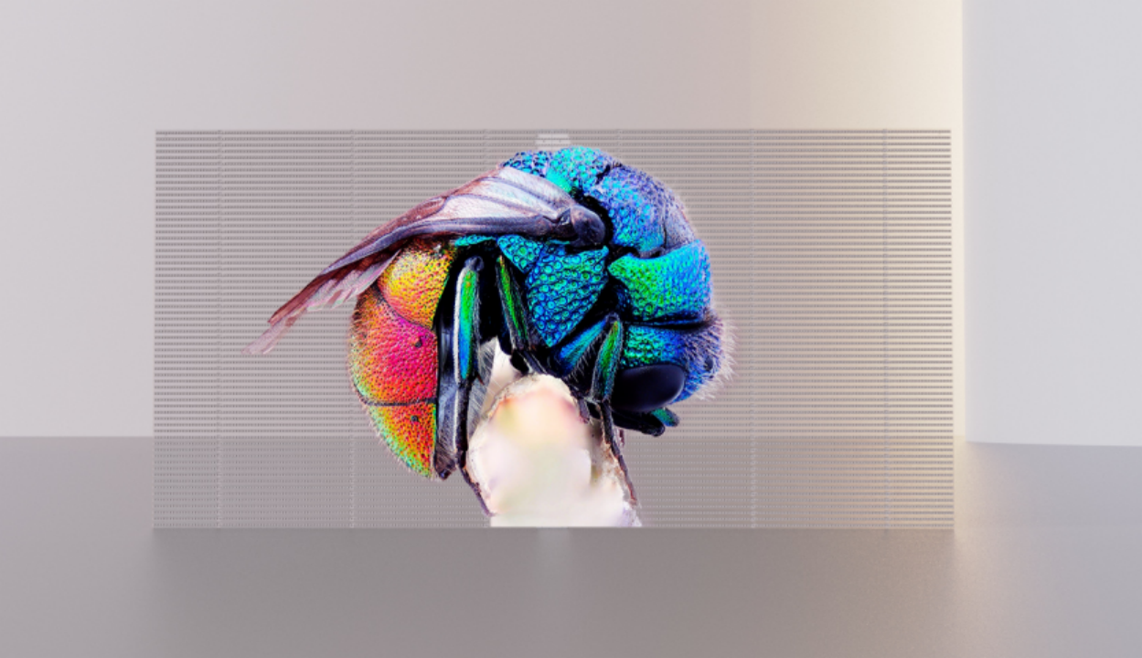 2(807c942ebe).png