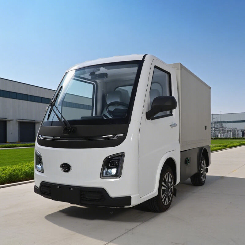 Nuovo Camioncino Elettrico Mini per Consegne