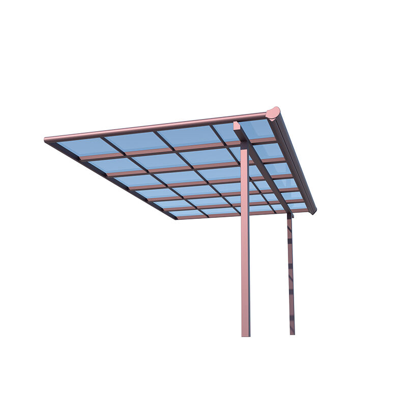 Aluminum Roof Polycarbonate Canopy Outdoor Window Awning Plastic Rain Door Cover
