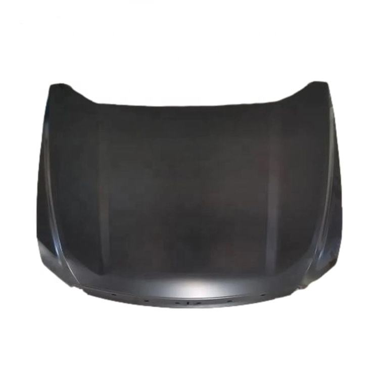 Біздің стильді капот қақпақтарының дизайнымен адамдар арасында ерекше болыңыз