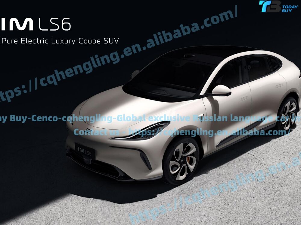 CENCO-Chongqing Hengling a obtenu l'autorisation exclusive pour le système IM Automotive version russe