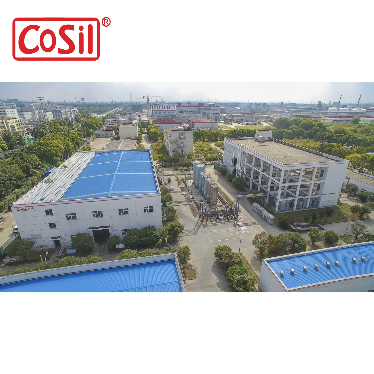  Protects Against Mold Growth