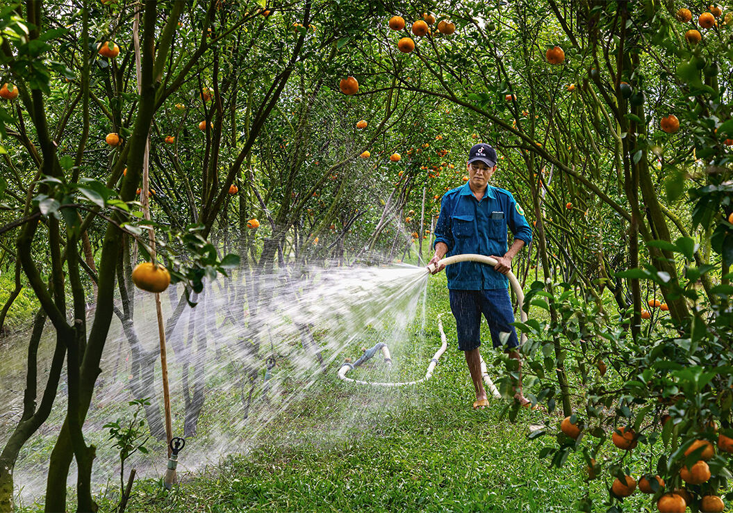 Agricultural irrigation