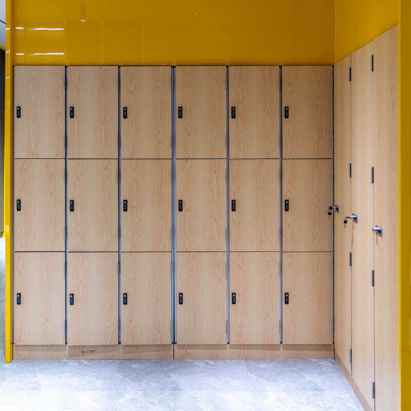 Design and Functional Innovations in Custom Lockers