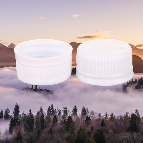 Sustainable Manufacturing Practices and Environmental Responsibility