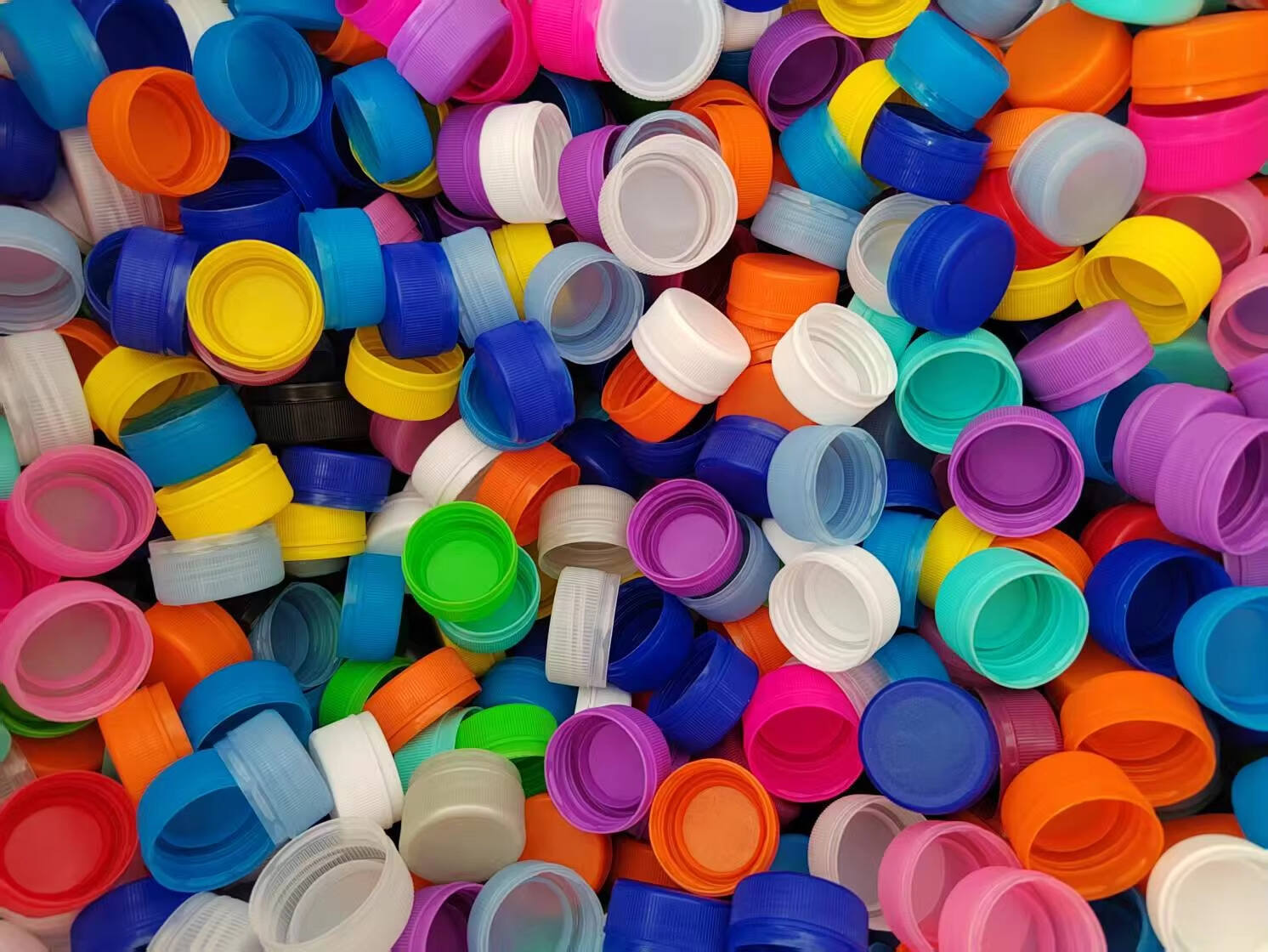 image (24)(8c5c596b76).jpg