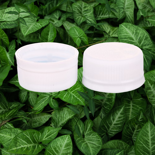 Sustainable Production and Environmental Responsibility