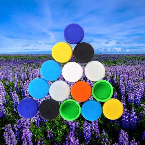 Comprehensive Technical Support and Customization Services