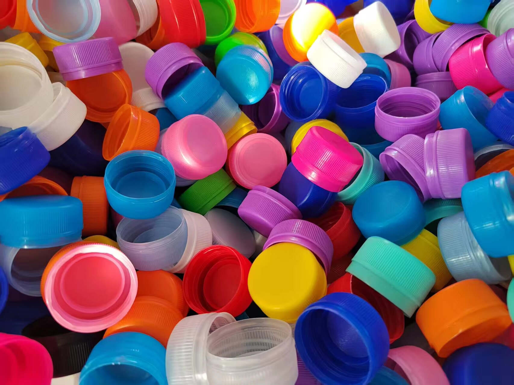 image (25)(b29f5e5731).jpg