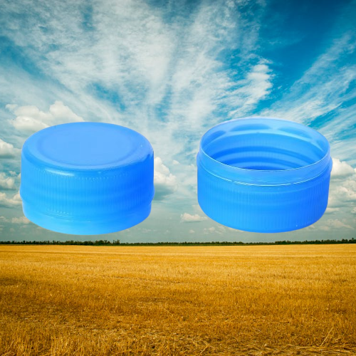 Customization Capabilities and Brand Enhancement Solutions