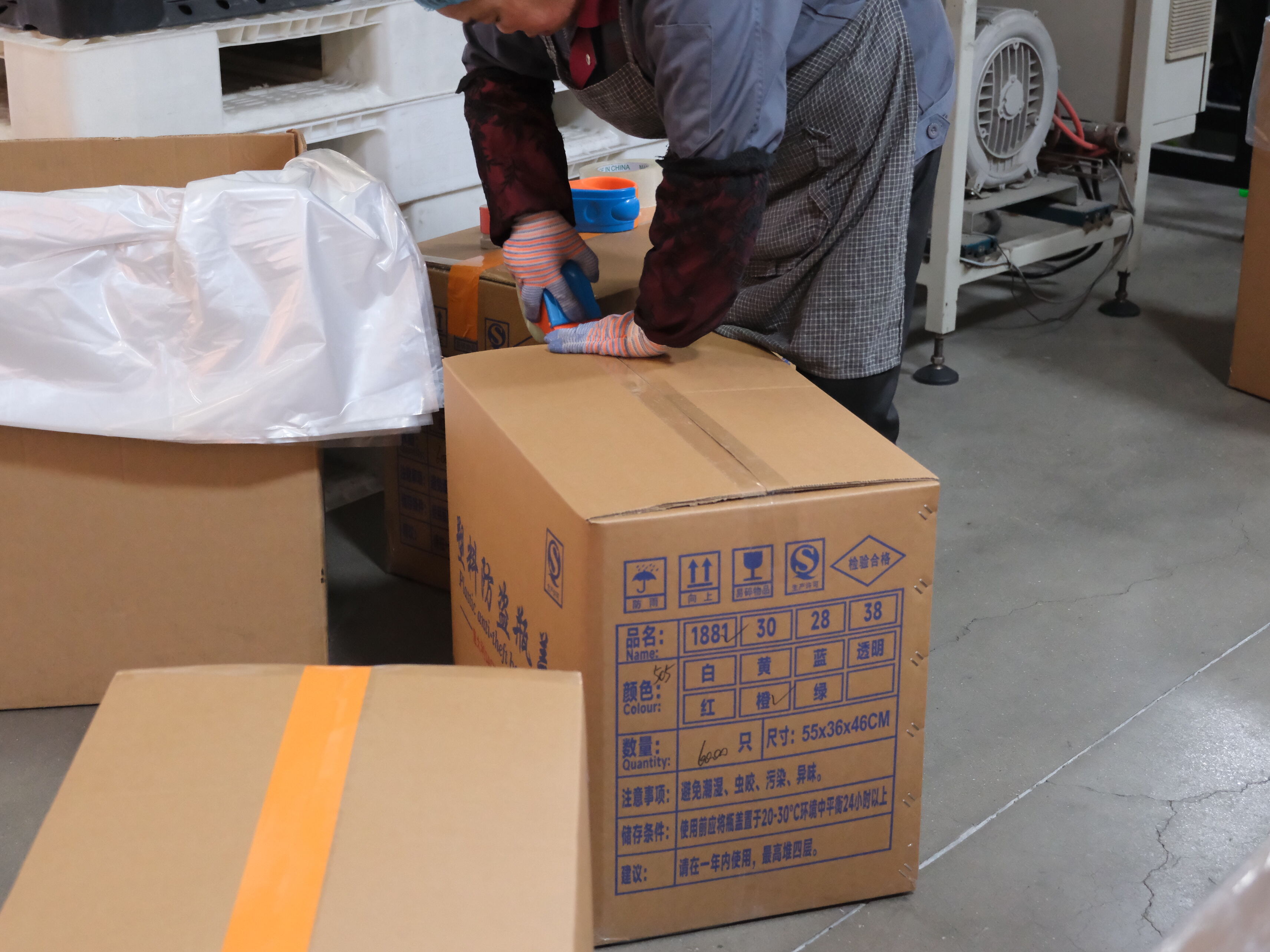 Expert Technical Support and Customization Services