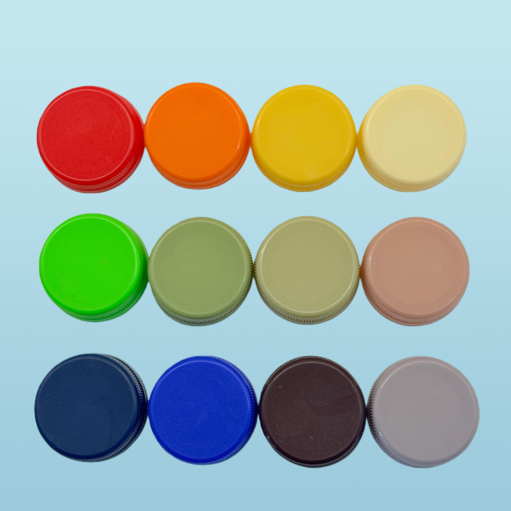 Customization and Technical Support Services