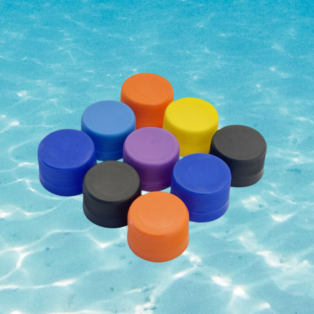 Customization Capabilities and Technical Expertise