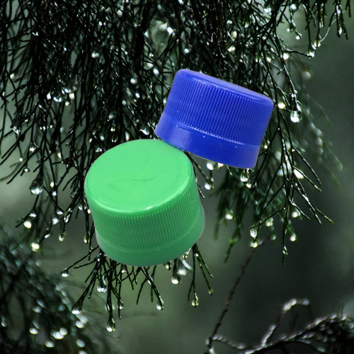 Comprehensive Quality Assurance and Regulatory Compliance