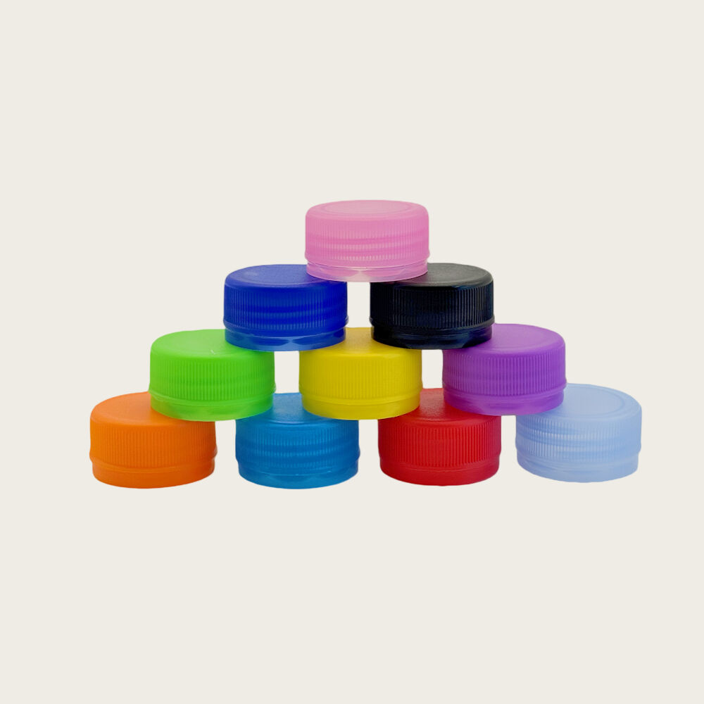 Customization and Technical Support