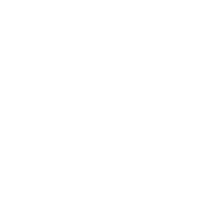 Polyester Viscose Design Fabric