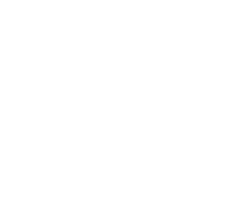 Polyester Viscose Fabric