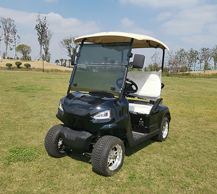 2 Koltuklu Litium Batarya Elektrikli Golf Kartı LS2020K