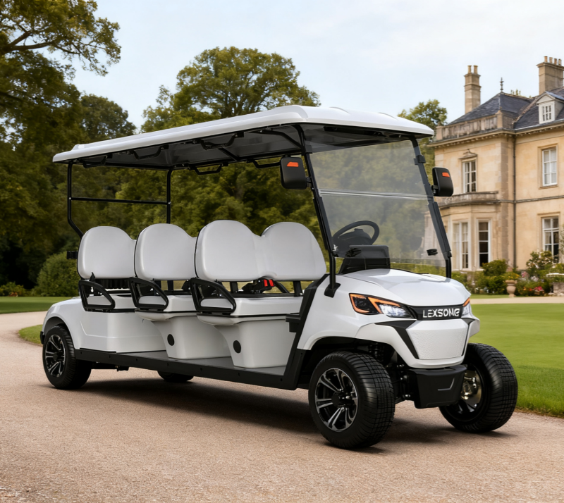 6-Sitzer Elektro-Golfbuggy für Resorts und Gemeinschaften LS2063K