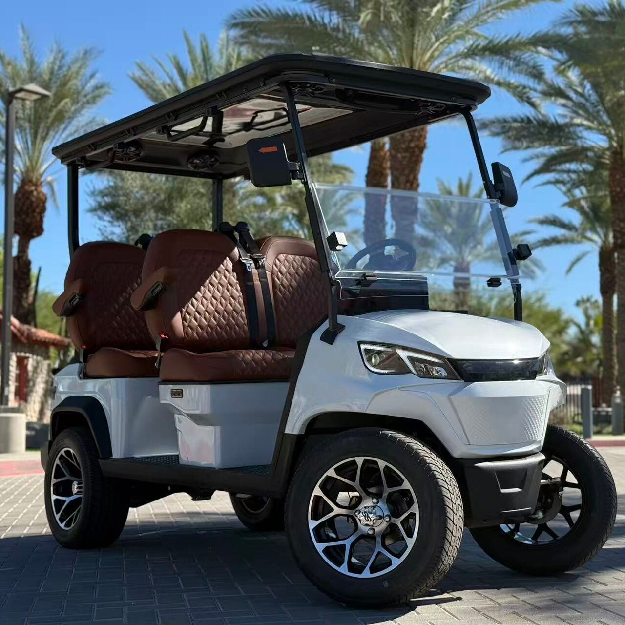 Can a Standard Golf Cart Be Used for Light Snow Plowing?
