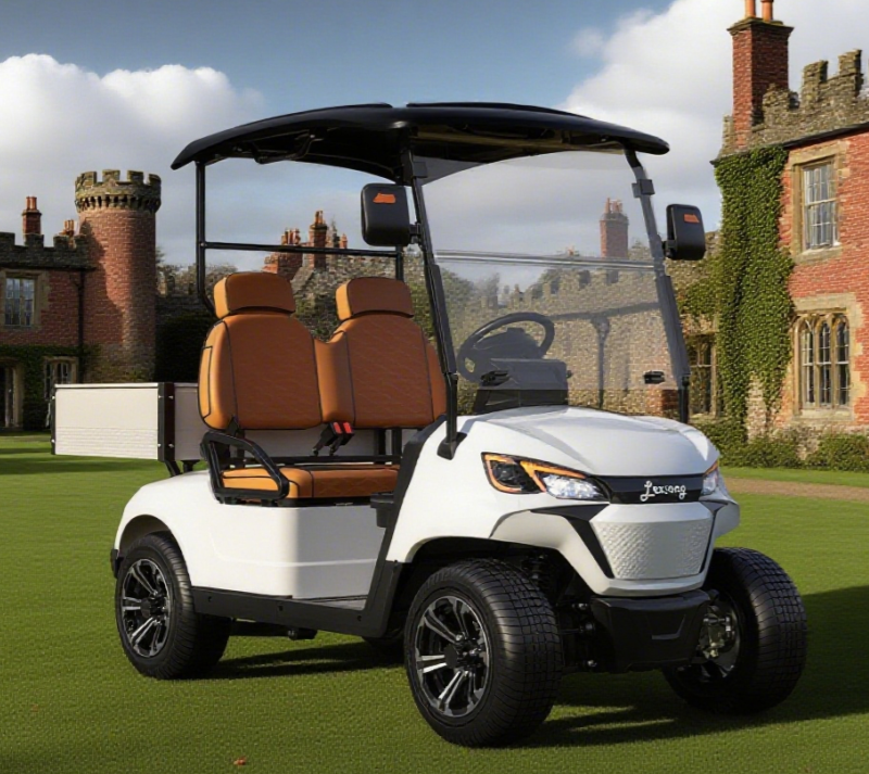 Durable Utility Golf Cart with Rear Aluminum Cargo Box – Ideal for Campus & Hotel Transport