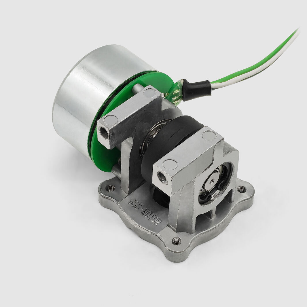 Spoljni rotor BLDC motor