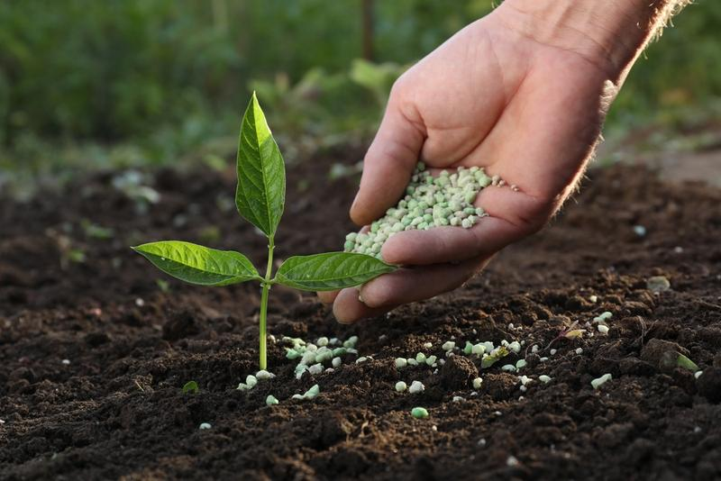 Améliorer la fertilité des sols avec des engrais organiques et microbiens