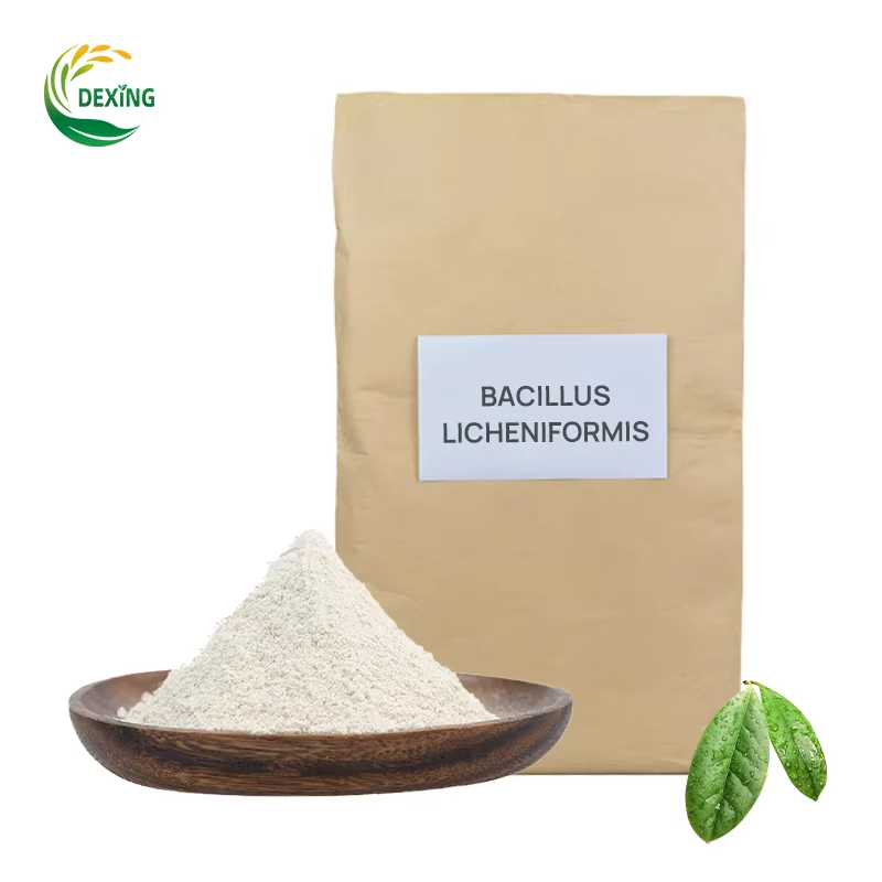 Soil fertility low? Microbial fertilizer activates nutrients effectively
