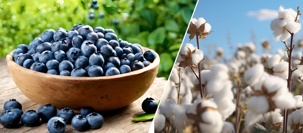 POLY-γ-GLUTAMIC ACID