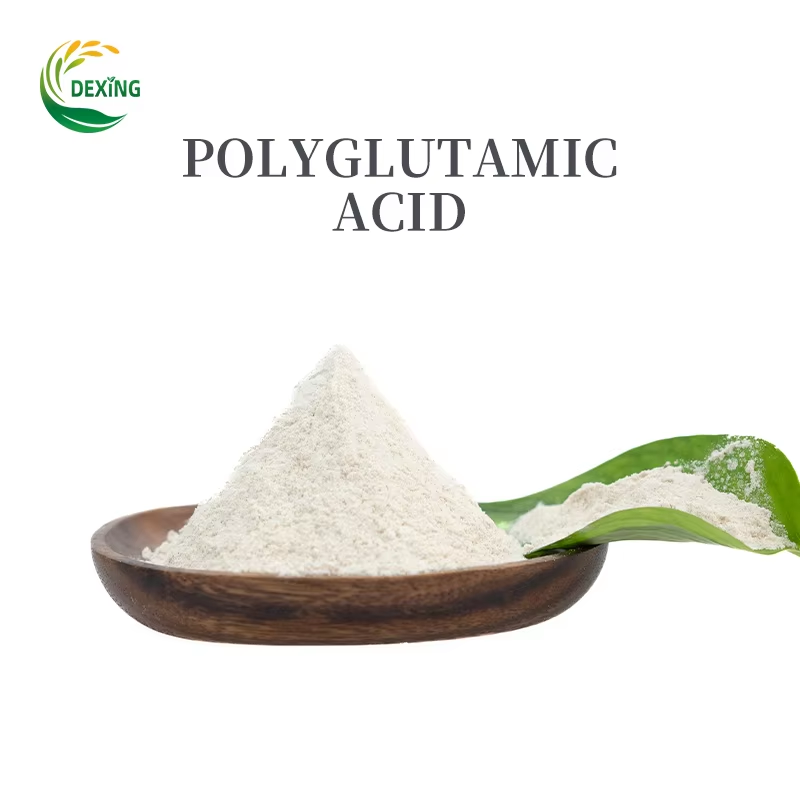 How to Boost Crop Yield Efficiently? Try Premium Additives for Agriculture
