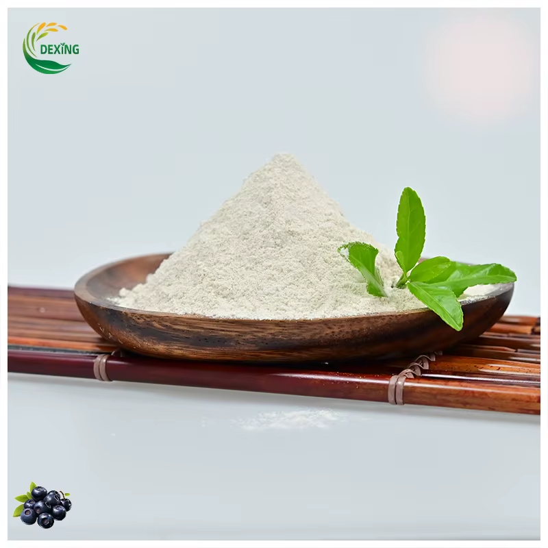 Unlocking the Potential of Microbial Feed​