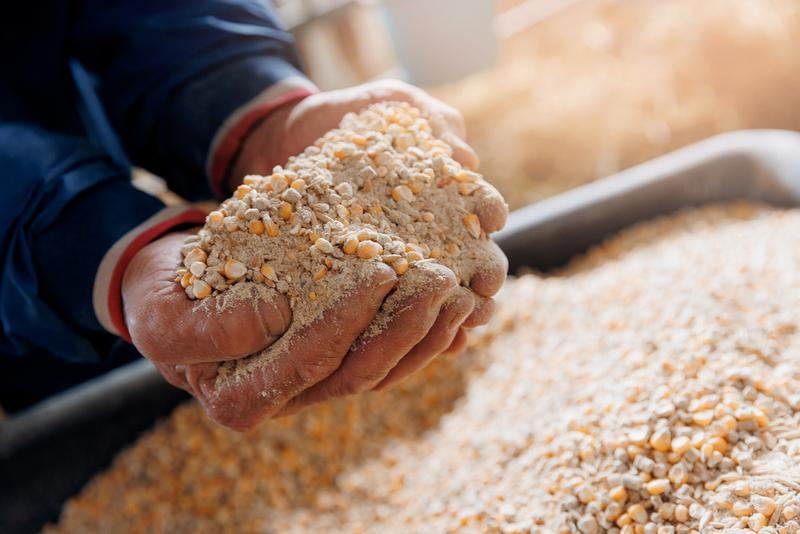 Révolutionner l'alimentation avec des additifs alimentaires microbiens