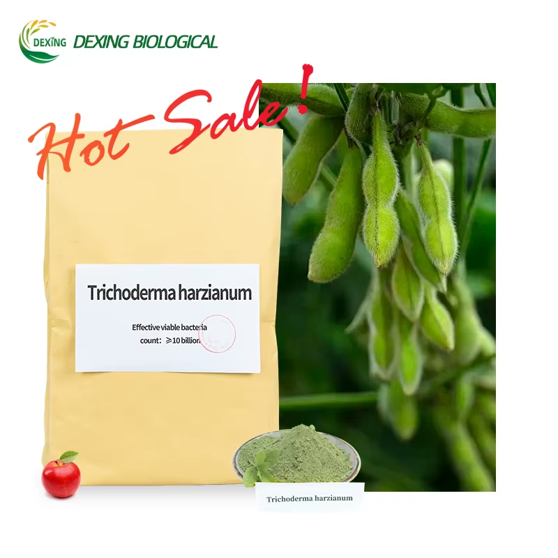 Phytonutrient: key to strong plant immunity
