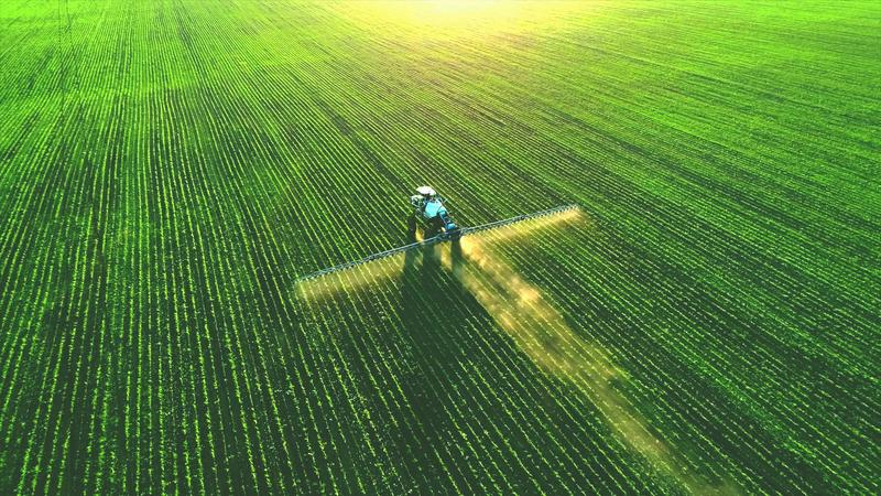 L'ingrédient secret : les microbes dans les cultures à haut rendement